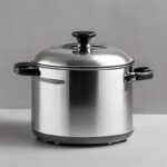 6 quart stainless steel pressure cooker